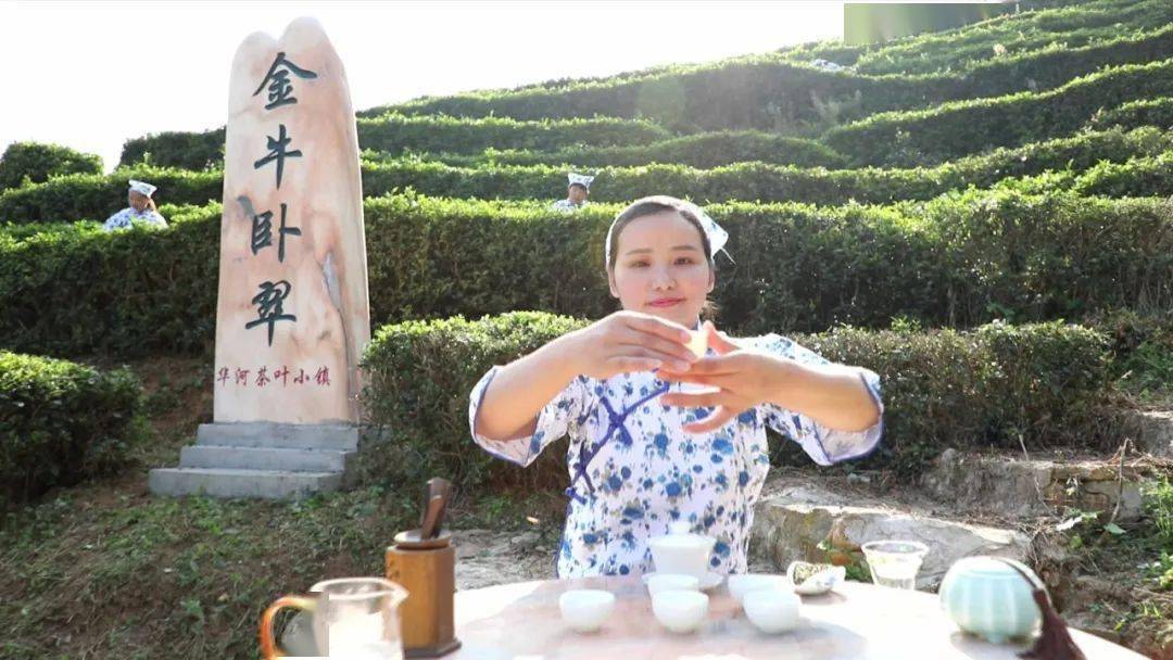 高山富硒有机茶(高山硒茶价格)-硒宝网