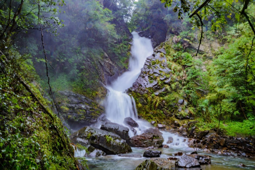 江淮石台富硒茶（安徽石台富硒茶）-硒宝网