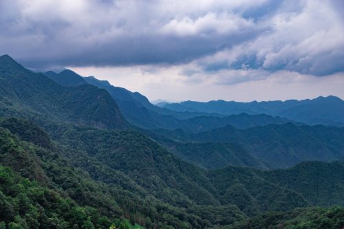 江淮石台富硒茶（安徽石台富硒茶）-硒宝网