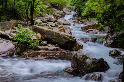 江淮石台富硒茶（安徽石台富硒茶）-硒宝网