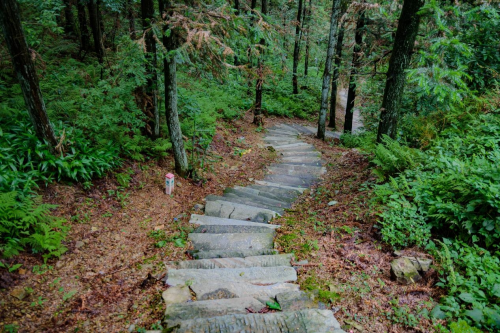 江淮石台富硒茶（安徽石台富硒茶）-硒宝网