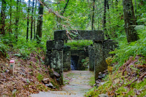 江淮石台富硒茶（安徽石台富硒茶）-硒宝网