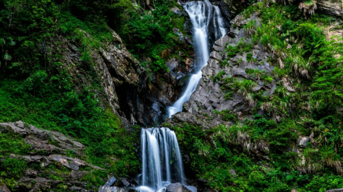 江淮石台富硒茶（安徽石台富硒茶）-硒宝网
