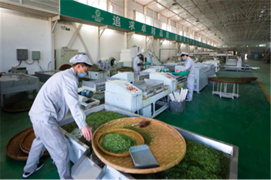 紫阳富硒茶产值（紫阳富硒茶的竞争对手）-硒宝网