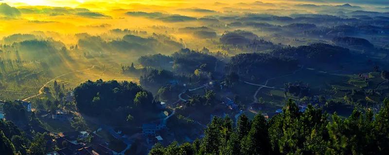 风冈富硒富锌茶(凤冈富锌富硒茶)-硒宝网