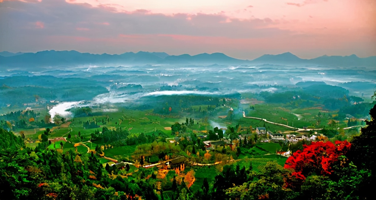 风冈富硒富锌茶(凤冈富锌富硒茶)-硒宝网