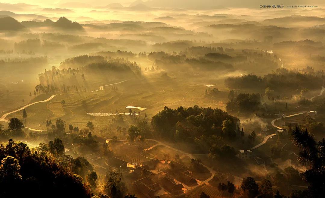 风冈富硒富锌茶(凤冈富锌富硒茶)-硒宝网