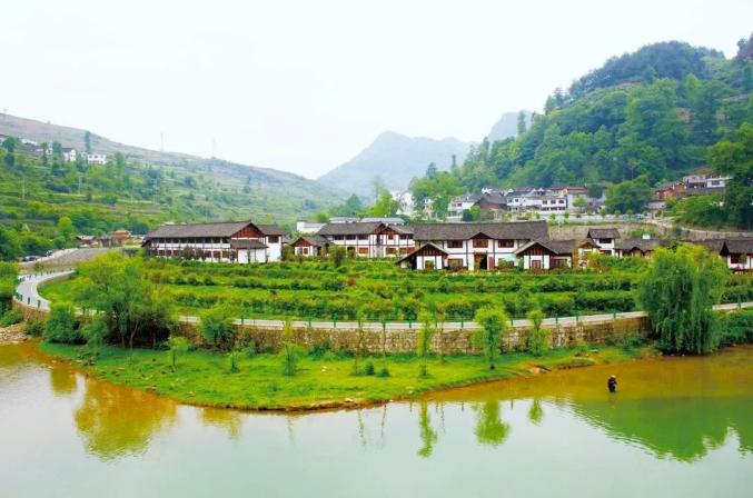 开阳富硒茶标准(开阳富硒茶多少钱一斤)-硒宝网