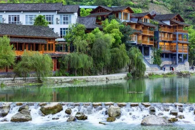 开阳富硒茶标准(开阳富硒茶多少钱一斤)-硒宝网