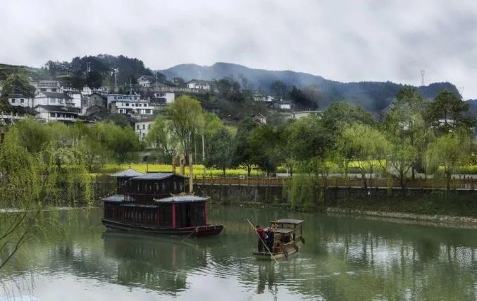 开阳富硒茶标准(开阳富硒茶多少钱一斤)-硒宝网