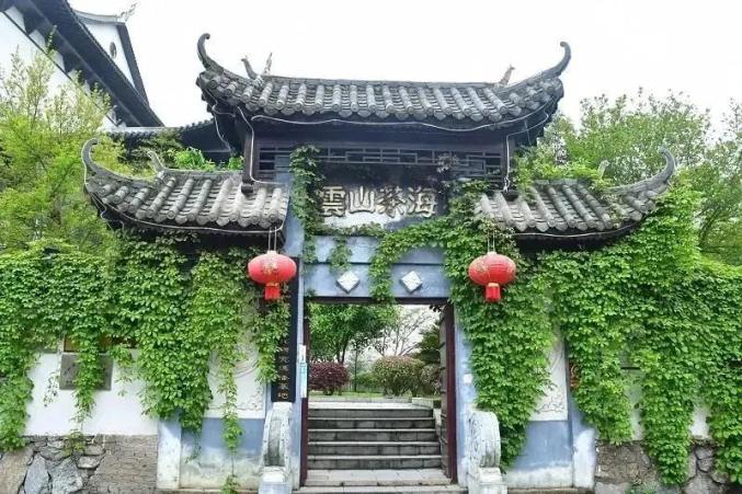 开阳富硒茶标准(开阳富硒茶多少钱一斤)-硒宝网