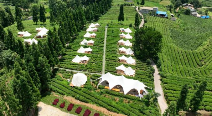 开阳富硒茶标准(开阳富硒茶多少钱一斤)-硒宝网