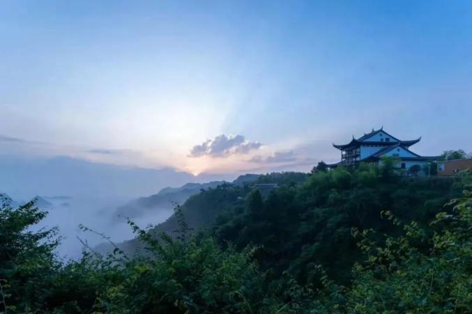 开阳富硒茶标准(开阳富硒茶多少钱一斤)-硒宝网