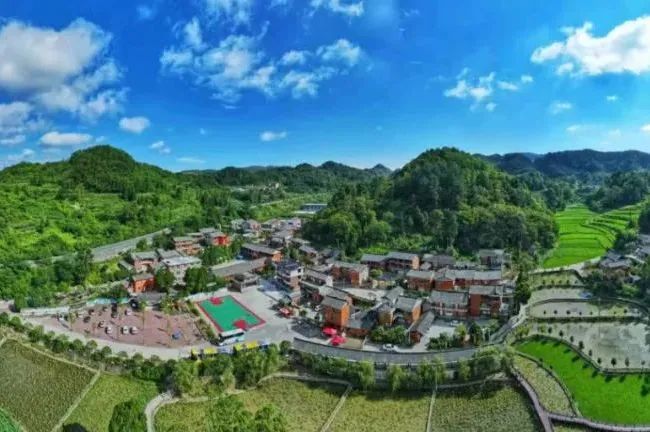 开阳富硒茶标准(开阳富硒茶多少钱一斤)-硒宝网