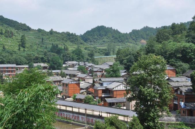 开阳富硒茶标准(开阳富硒茶多少钱一斤)-硒宝网