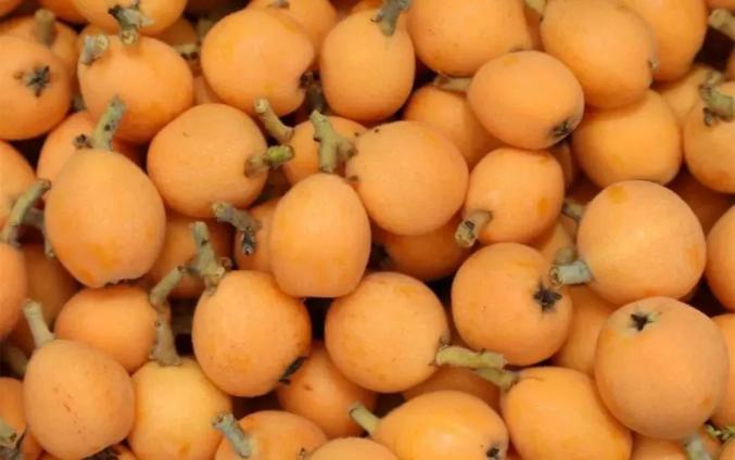 开阳富硒茶标准(开阳富硒茶多少钱一斤)-硒宝网