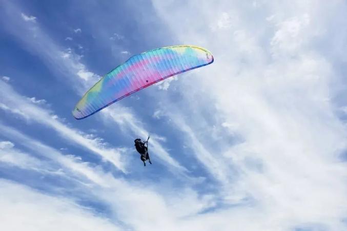 开阳富硒茶标准(开阳富硒茶多少钱一斤)-硒宝网