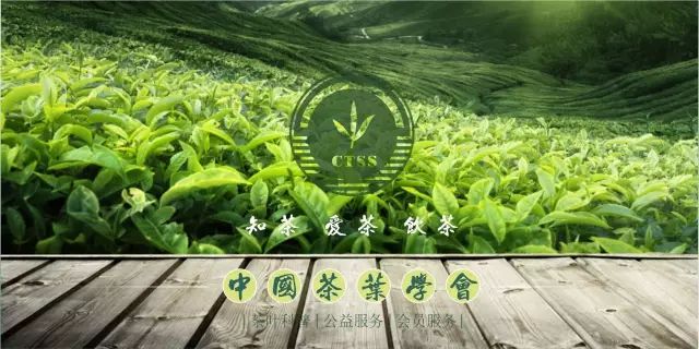 高山富硒有机茶(高山富硒绿茶)-硒宝网