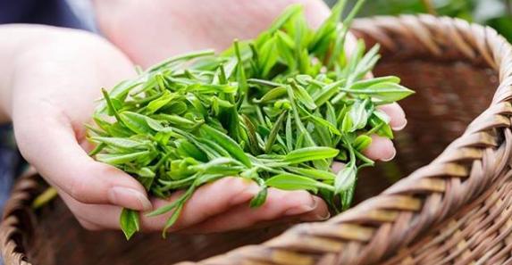 岳西富硒茶价格(富硒茶之乡)-硒宝网