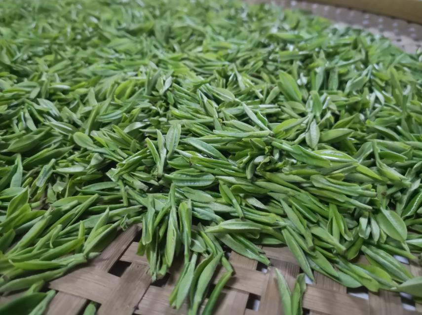 岳西富硒茶价格(富硒茶之乡)-硒宝网