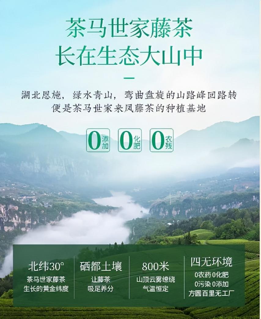 藤茶是富硒茶吗（富硒滕茶的功效）-硒宝网