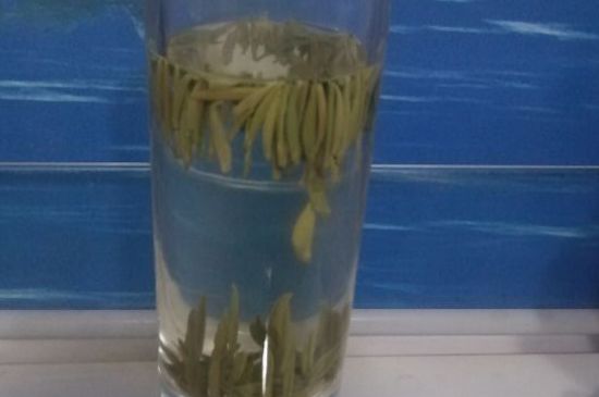 凤岗富锌富硒茶（正宗富锌富硒茶产地直供）-硒宝网