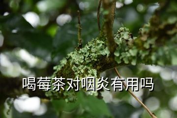 富硒莓茶降血糖（莓茶能降血糖）-硒宝网