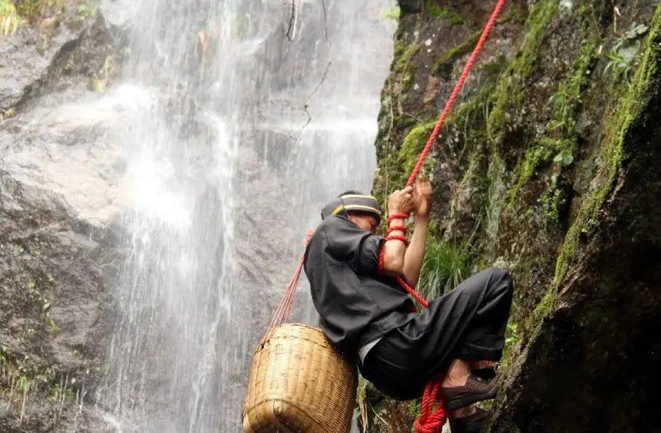 富硒莓茶降血糖（富硒茶降血糖吗）-硒宝网