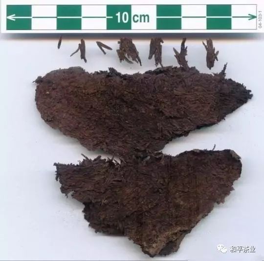 紫阳巴农富硒茶(紫阳富硒茶厂)-硒宝网