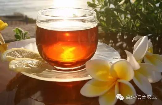 富硒茶有甜味吗（富硒茶口感入口偏涩）-硒宝网