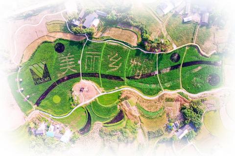 重慶江津富硒茶(江津富硒食品一览表)-硒宝网