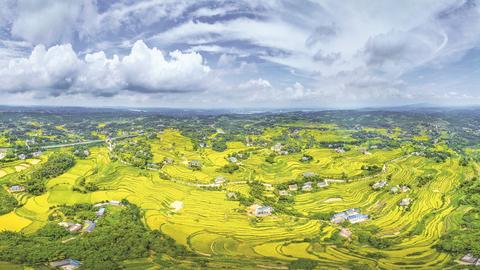 重慶江津富硒茶(江津富硒食品一览表)-硒宝网
