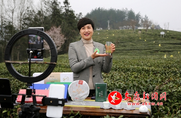 湖北富硒茶口感(湖北富硒茶有什么功效)-硒宝网