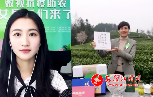 湖北富硒茶口感(湖北富硒茶有什么功效)-硒宝网