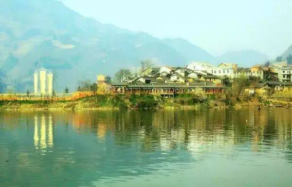 郧西有富硒茶吗（湖北富硒茶多少钱一斤）-硒宝网