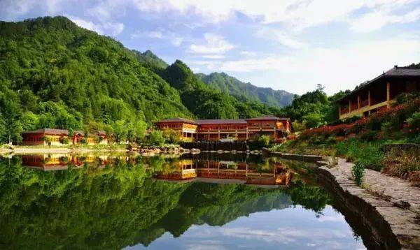 郧西有富硒茶吗（湖北富硒茶多少钱一斤）-硒宝网