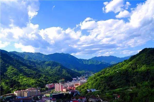 郧西有富硒茶吗（湖北富硒茶多少钱一斤）-硒宝网