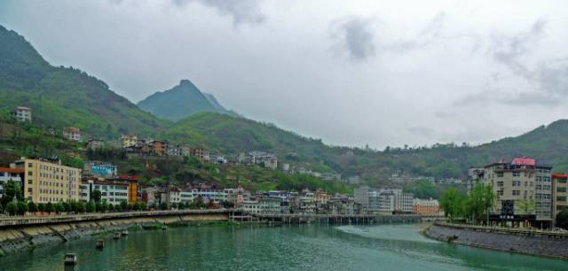 郧西有富硒茶吗（湖北富硒茶多少钱一斤）-硒宝网