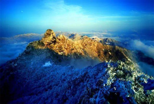 郧西有富硒茶吗（湖北富硒茶多少钱一斤）-硒宝网