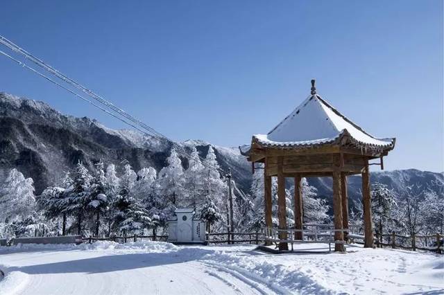 郧西有富硒茶吗（湖北富硒茶多少钱一斤）-硒宝网
