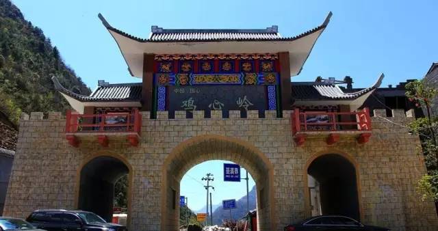 郧西有富硒茶吗（湖北富硒茶多少钱一斤）-硒宝网