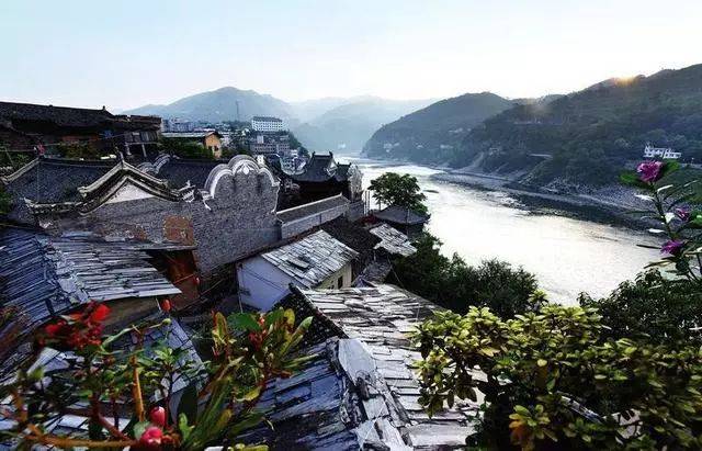 郧西有富硒茶吗（湖北富硒茶多少钱一斤）-硒宝网