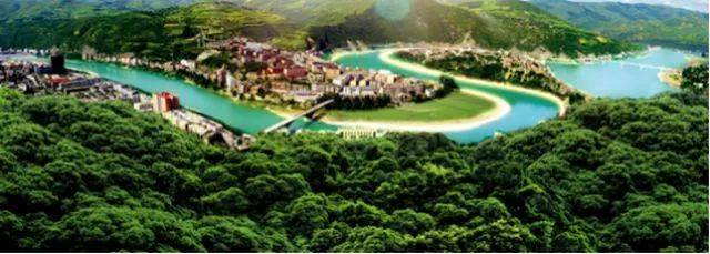 郧西有富硒茶吗（湖北富硒茶多少钱一斤）-硒宝网