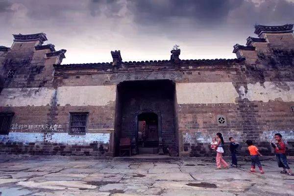 郧西有富硒茶吗（湖北富硒茶多少钱一斤）-硒宝网