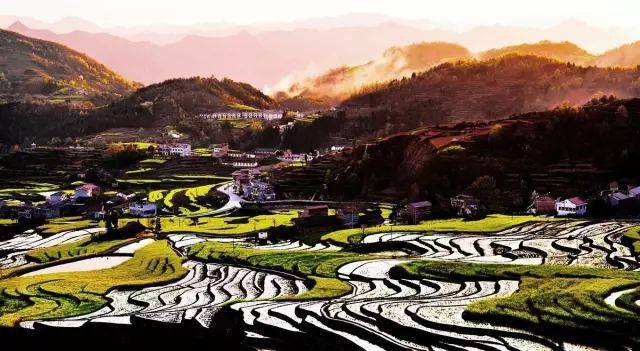 郧西有富硒茶吗（湖北富硒茶多少钱一斤）-硒宝网