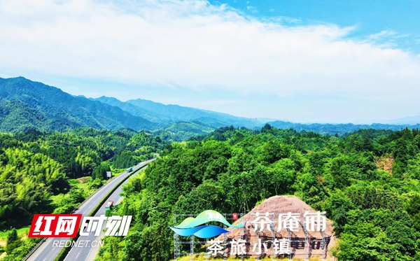 富硒常德野茶王(富硒野茶的功效)-硒宝网