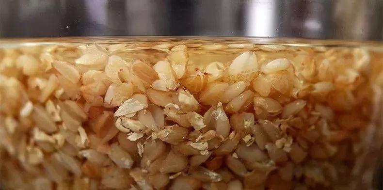 富硒荞子茶作用(茶荞子作用富硒吗)-硒宝网