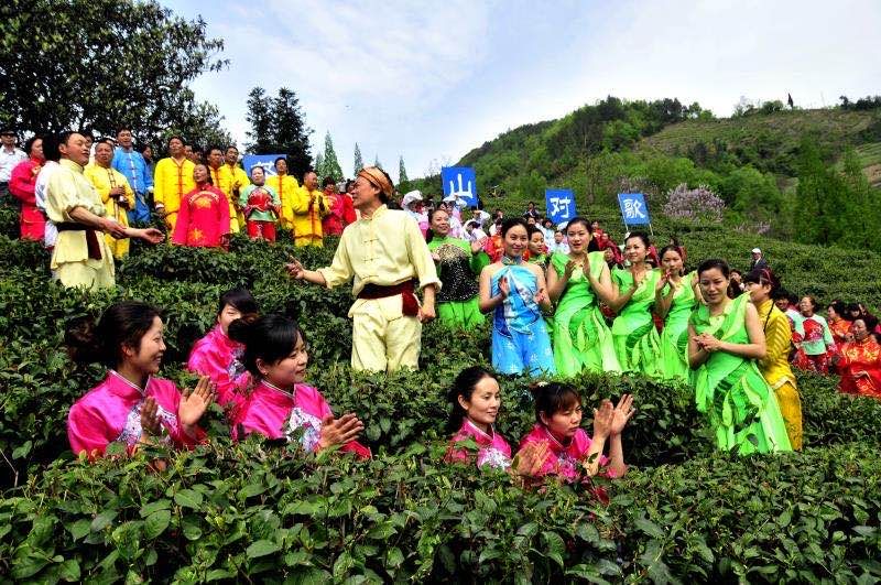 紫阳富硒茶翠锋(紫阳翠峰茶)-硒宝网