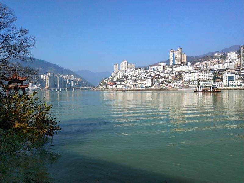 紫阳富硒茶翠锋(紫阳翠峰茶)-硒宝网