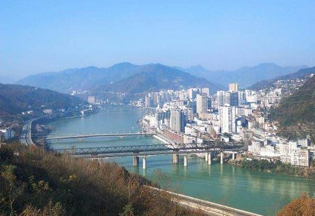 紫阳富硒茶翠锋(紫阳翠峰茶)-硒宝网